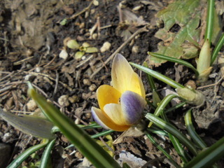 DSC00491.JPG