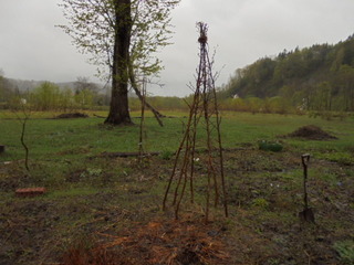 DSC00746.JPG