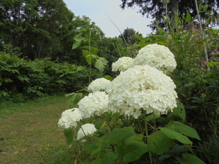 DSC01616.JPG