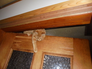 DSC01970.JPG