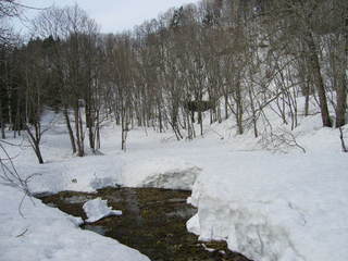 P1010063.JPG