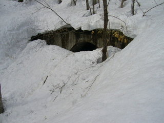 P1010066.JPG